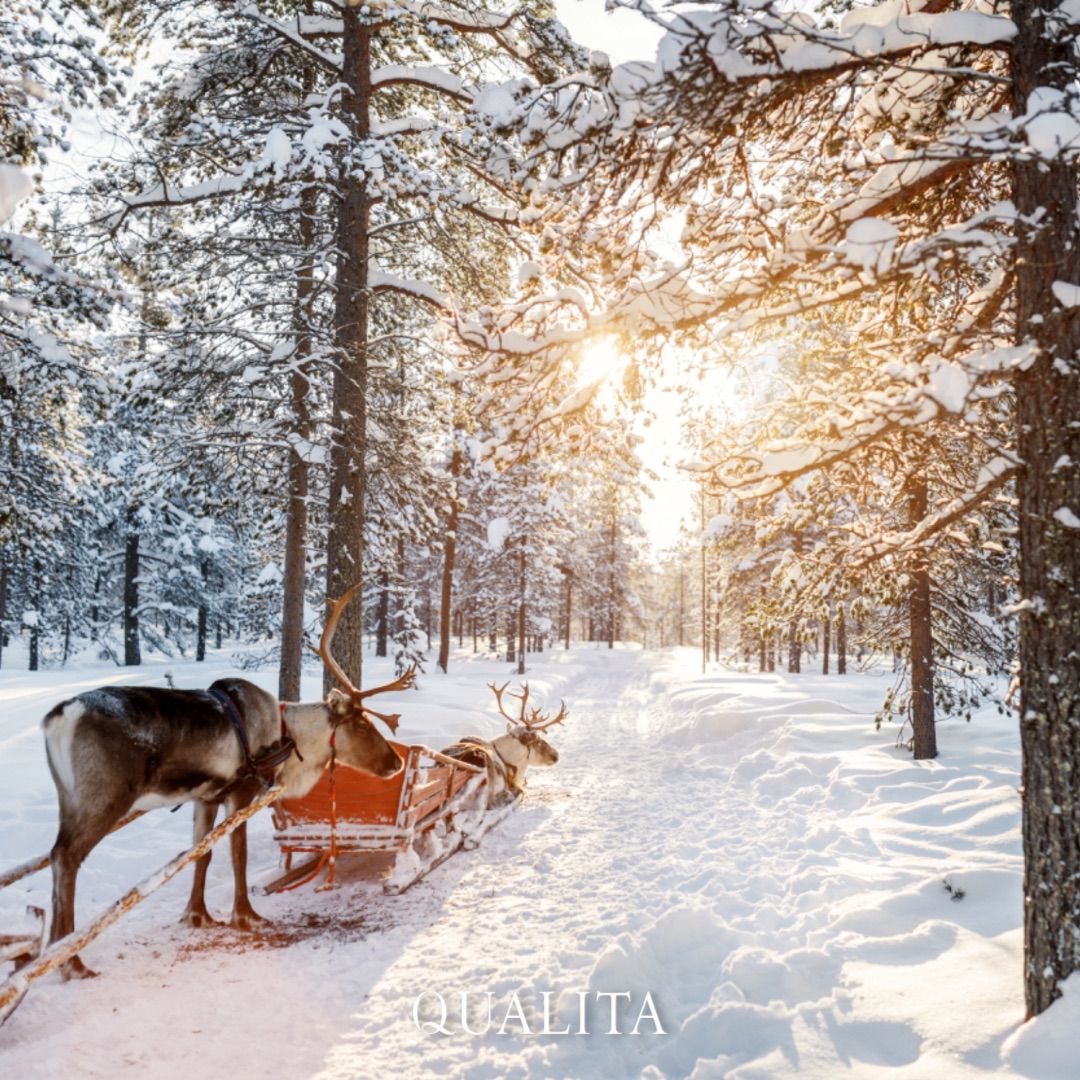 Lapland Turu Qualita